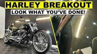 What Did I DO?!? - Harley Davidson Breakout - Motorcycle Detailing & Ceramic Coat