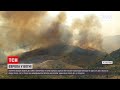 Новини світу: у кількох європейських країнах не вщухають сильні лісові пожежі