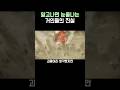 진격의 거인)눈물나는 거인들의 진실