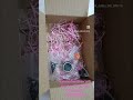 Rakshabandhan gift combos for sisters.