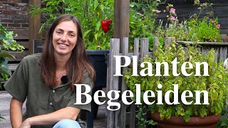Waarom Én Hoe Je Je Planten Het Beste Kunt Begeleiden Floors Moestuin - Floor Korte