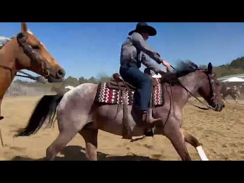 Nebo Valley Trail Ride