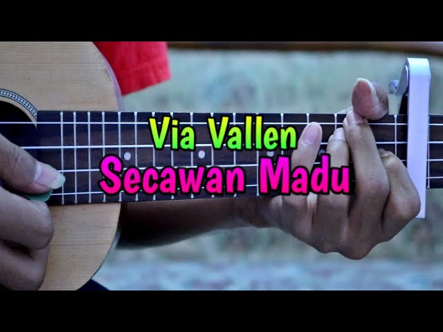 Via Vallen - Secawan Madu cover ukulele by @Zidan AS class=