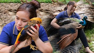 Rescue Bird After Storm Super Storm Swept Away Everything Collapsed In The Night