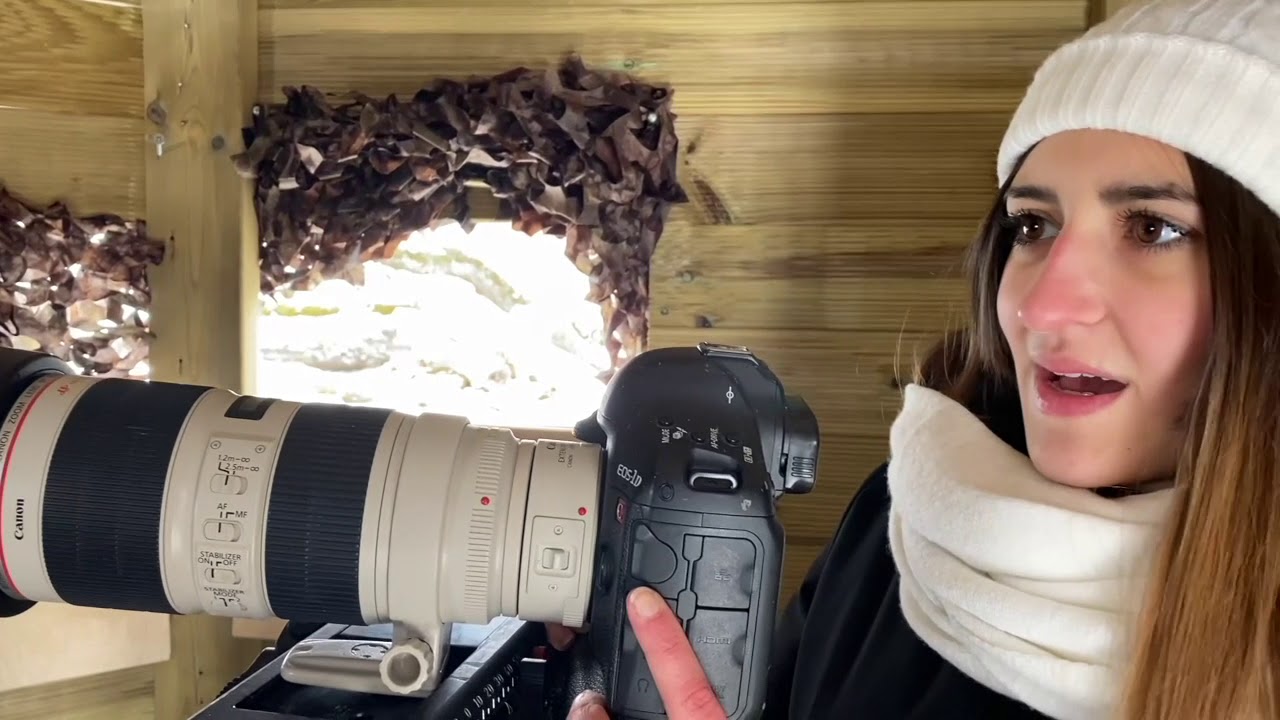 Birdgardening e birdwatcing. Abruzzo, Italia