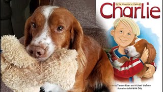 Deystudio - Road Trip For Charlies Book Launch Childrens Picture Book