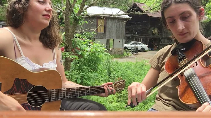 Billy in the Lowground // Sonya Badigian fiddle Al...