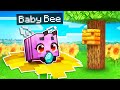 The PINK BABY BEE Prank In Minecraft!