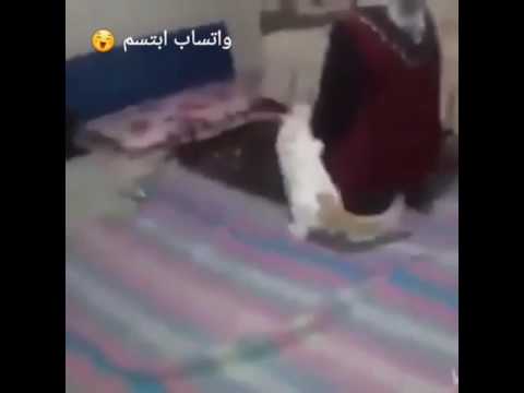 قطة تلعب مع امراة تصلي نضرو ماذا حدث 