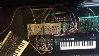Celebrity Generative patch featuring 0-Coast, Morphagene, Clouds, Turing Machine, Erebus, Microbrute Profile