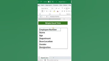 How to Align Colon in Excel | Excel Tips and Tricks #excel #microsoft #windows #exceltips