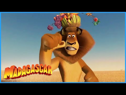 DreamWorks Madagascar | Surprised To See Me |  Madagascar  Escape 2 Africa Movie Clip