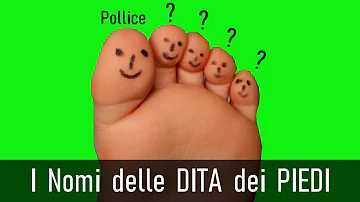 Come si chiamano le cinque dita dei piedi?