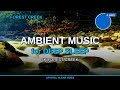 Chillstep Mix - Forest Creek 4K | Serene Focus Music