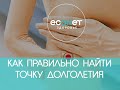 КАК ПРАВИЛЬНО найти точку ДОЛГОЛЕТИЯ - точку от 100 болезней | econet ru