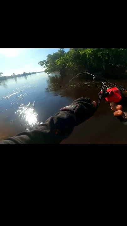HAMPALA MUARA AIR HITAM