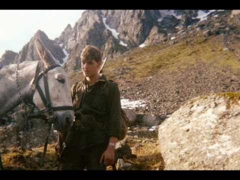 Marines and delirium tremens 91 Marines and delirium tremens 66