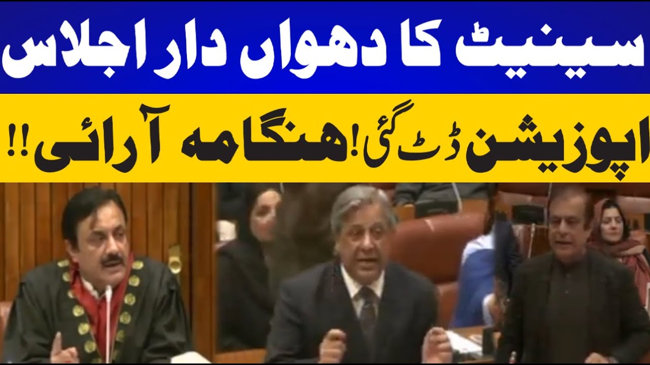 Senate Session | Heated Debate | PTI Vs PMLN | Heavy Fight | CurrentNN