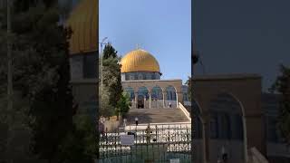 الجمال من المسجد الأقصى في #القدس