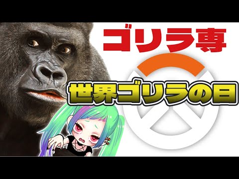 【ゴリラ専OW2】世界ゴリラの日ですから…オーバーウォッチ２【※暴言注意】