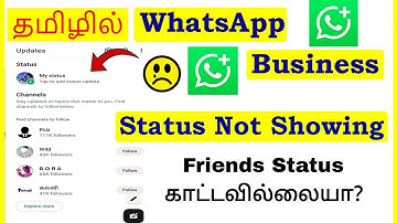 How to Fix Status Not Showing in WhatsApp Business Tamil | VividTech