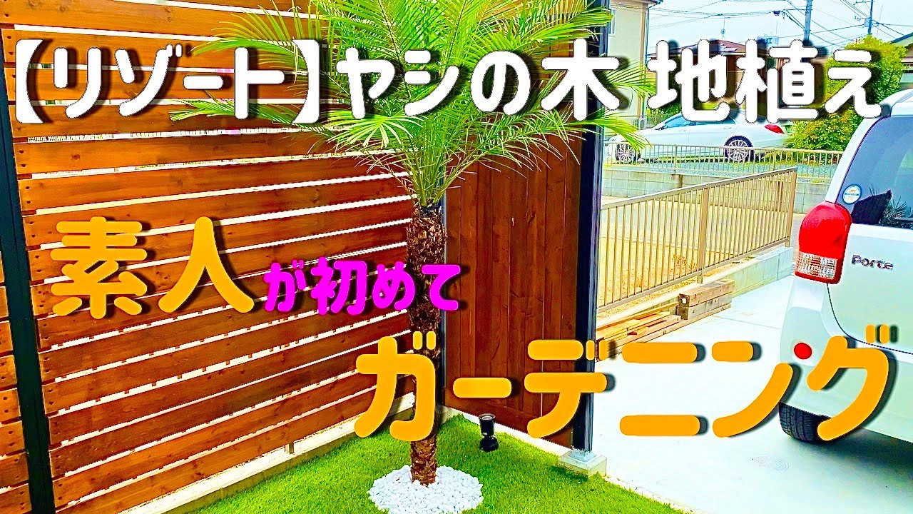 Diy ヤシの木 フェニックス ロベレニーを地植えしてみた Youtube