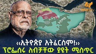 Ethiopia - ‹‹ኢትዮጵያ አትፈርስም!›› ፕሮፌሰሩ ለብቻቸው ያዩት ሚስጥር