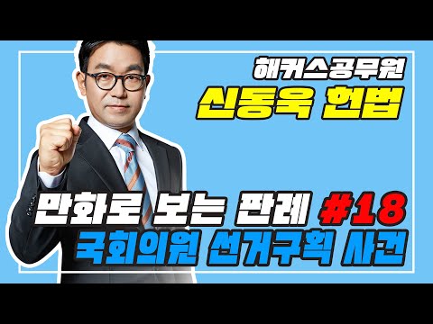 만화로 보는 판례 18 국회의원 선거구획 사건 (신동욱 헌법)