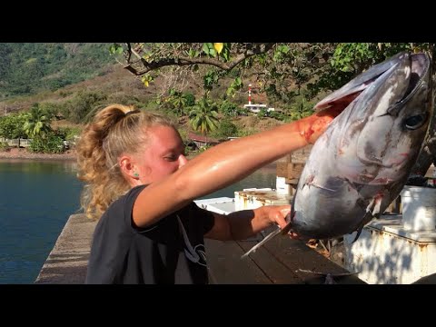 Video: Reptiliska Statyer På ön Nuku Hiva - Alternativ Vy
