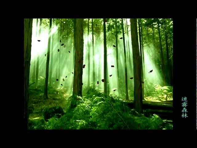 迷霧森林 Youtube 迷霧森林 Youtube