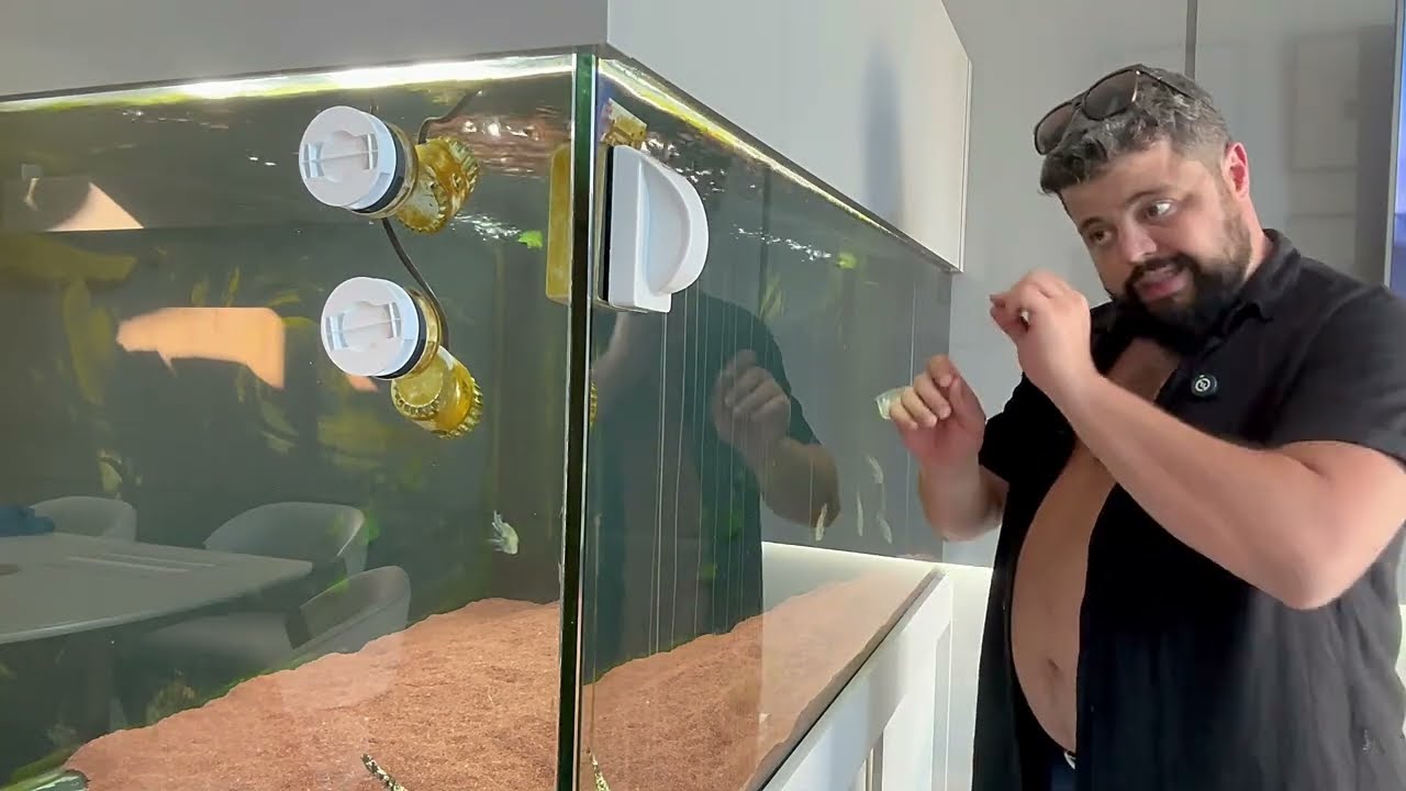 LIMPANDO O AQUÁRIO JUMBO. AQUARISMO JUMBO (passo a passo COMPLETO) em detalhes.