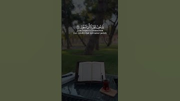 سعد الغامدي سورة فاطر Saad Al Ghamidi Surah Fatir