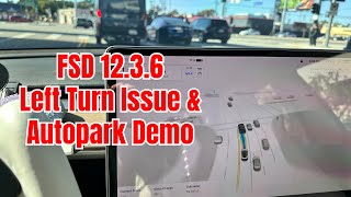 Tesla FSD 12.3.6: Vision-Only Autopark and Wrong Turn Fixed?