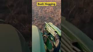 JohnDeere 3025e is hooked to the Frontier RC2060 and we are bush hogging