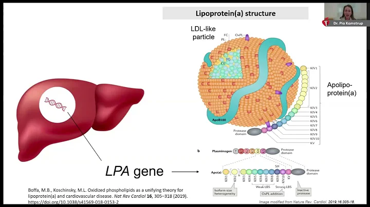 Lipoprotein(a): An ASCVD Risk Factor That Can No Longer Be Ignored