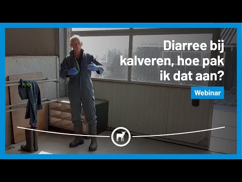 Video: Afschrijving van het huwelijk: documenten, reflectie in de boekhouding. Redenen voor huwelijk