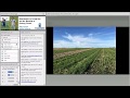 Alternatives to Cereal Rye and the Benefits of Grazing Covers - Farminar Alternatives to Cereal Rye and the Benefits of Grazing Covers - Farminar