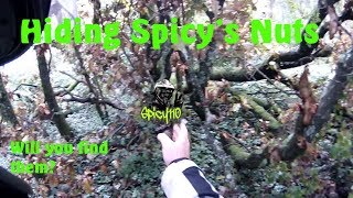 Hiding Spicys nuts