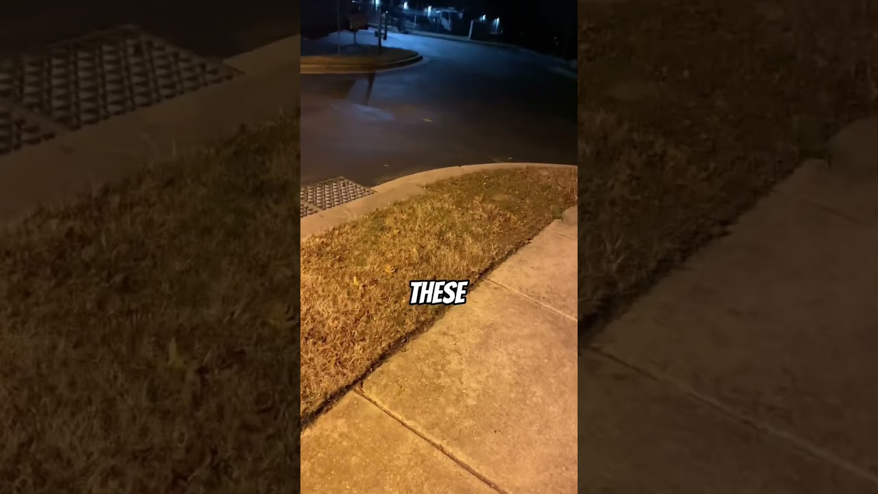 If you see This at your Door Run!!🏃‍♂️