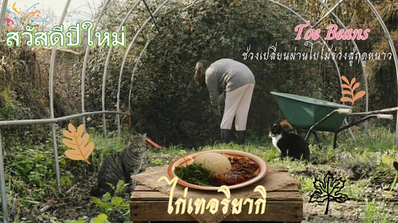 EP1: ชีวิตชนบทโปรตุเกส จัดระเบียบฟาร์มหน้าหนาว ปลูกผักทนหนาว สวัสดีปีใหม่ 2026