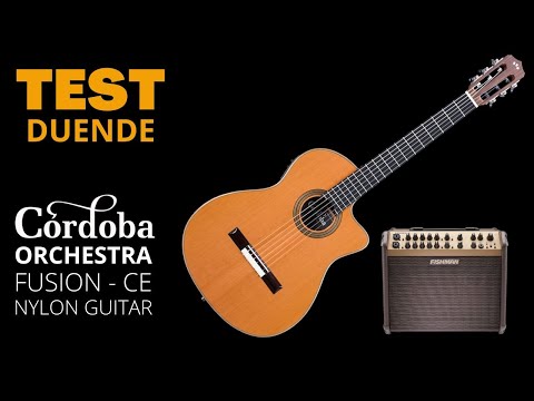 cordoba-guitars---fusion-orchestra-12-ce-orchestra