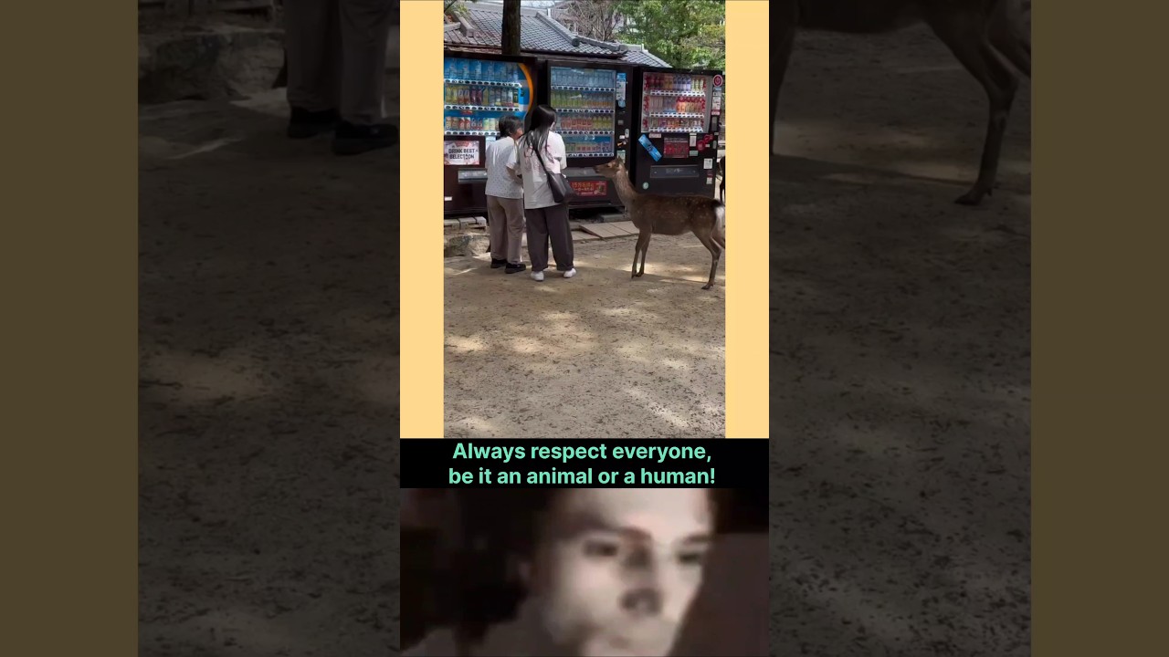 Nara Park: Where Deer Teach You Respect 🙏 