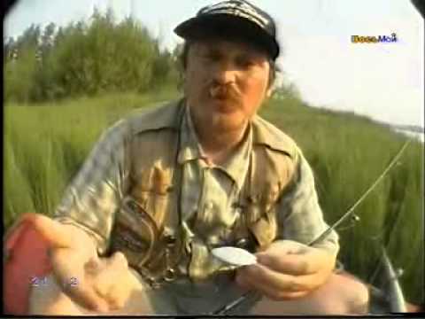 Окунь на спининг(серебряный ручей)