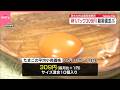 【タマゴ】1パック309円…過去最高値に並ぶ
