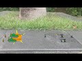 6947坦克和AK冲锋枪士兵防守，敌军普通高射炮和GrW-34 迫击炮士兵冲锋
