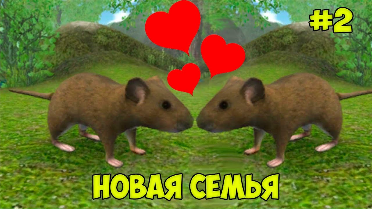 СИМУЛЯТОР маленькой МЫШИ Завела семью Ухаживаю за питомцем - YouTube