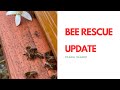 BEE ADOPTION UPDATE