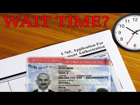 Working Permit: the TRUE Processing Times