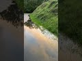 Ripples in the sky