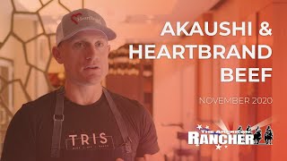 Akaushi  Heartbrand Beef | The American Rancher